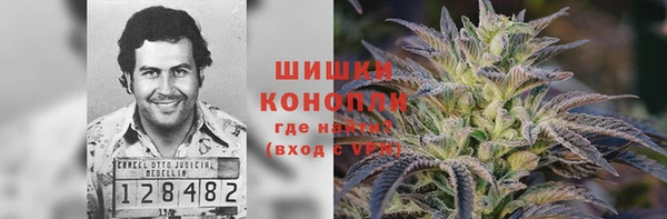 тгк Чекалин