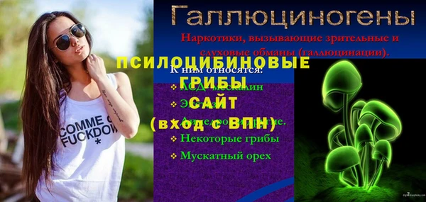 а пвп мука Корсаков